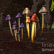 Coloured Mushrooms Poster