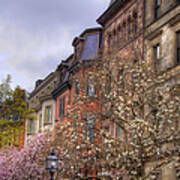 Commonwealth Ave Row Houses - Boston Poster