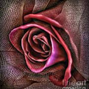 Rose In Burlap 2 Poster