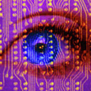 Computer Graphics: Human Eye & Circuit Board Poster