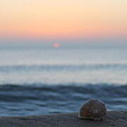 Conch Shell Sunrise Poster