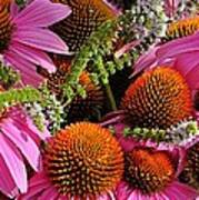 Cone Flowers And Mint Poster