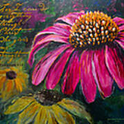 Coneflower Poster