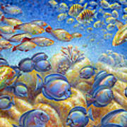 Coral Reef Life Poster