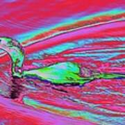 Cormorant With Fish Psychedelicized Poster