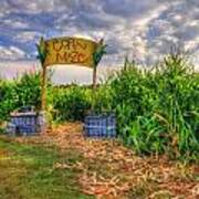 Corn Maze Poster