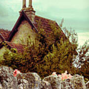 Cottage Seen Over A Wall Poster