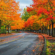 Coulon Park Autumn Poster