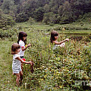 Country Girls Picking Wild Berries Poster