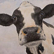 Cow Portrait I Poster