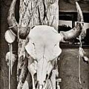 Cow Skull Poster