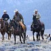 Cowboy Outriders Poster