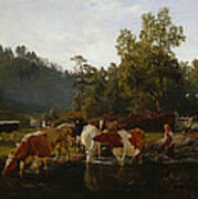 Cows By The River Poster