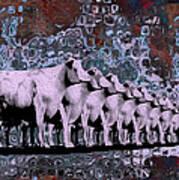 Cows In Order 2 Poster