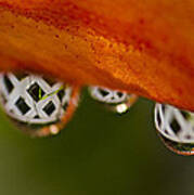 Criss Cross Water Drop Poster