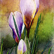 Crocus Poster