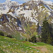 Crocuses Near The Hochberg Mountain Poster