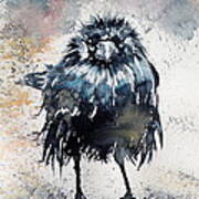 Crow After Rain Poster