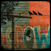 Crow Graffiti Poster