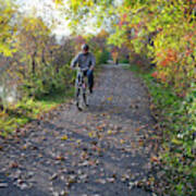 Cyclist In Parkland In Autumn Poster