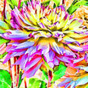 Dahlias In Digital Watercolor Poster