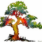 Rainbow Tree Daniel Adams Poster