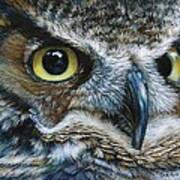Dark Owl Poster