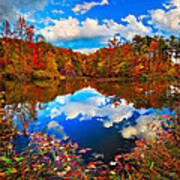 Davis Pond Reflections Poster