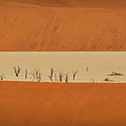 Deadvlei 1. Namib-naukluft National Park Poster