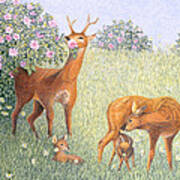 Deer Family Oil On Canvas Poster