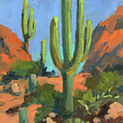 Desert Morning Saguaro Poster