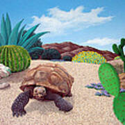 Desert Tortoise Poster