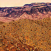 Desert View In Arizona By The Colorado River Poster