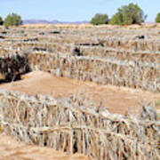 Desertification Prevention Poster