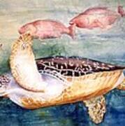 Determined - Loggerhead Sea Turtle Poster