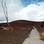 Devastation Trail Poster