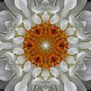 Divine Love Flower Mandala Poster