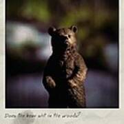 Does The Bear? Polaroid Poster