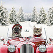 Dog And Cat Driving Car Through Snow Poster