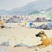 Dog On The Beach Woolacombe Poster