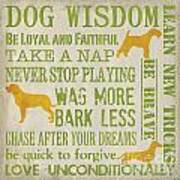 Dog Wisdom Poster