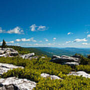 Dolly Sods Poster