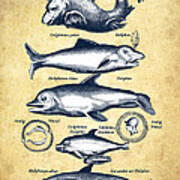 Dolphins - Historiae Naturalis - 1657 - Vintage Poster