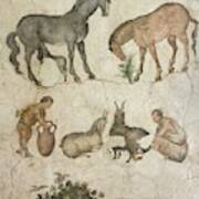 Domestic Animals Mozaic Poster