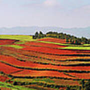 Dongchuan Red Earth Poster