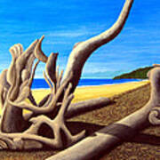 Driftwood - Nature's Artwork Poster