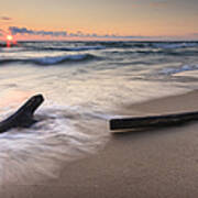 Driftwood On The Beach Poster