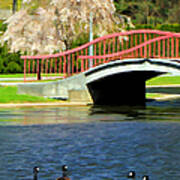 Springtime On The Lake Poster