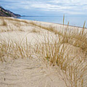 Dune Grass On Lake Michigan Poster