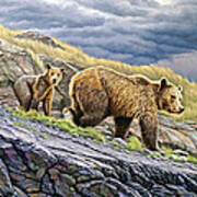 Dunraven Pass Grizzly Family Poster